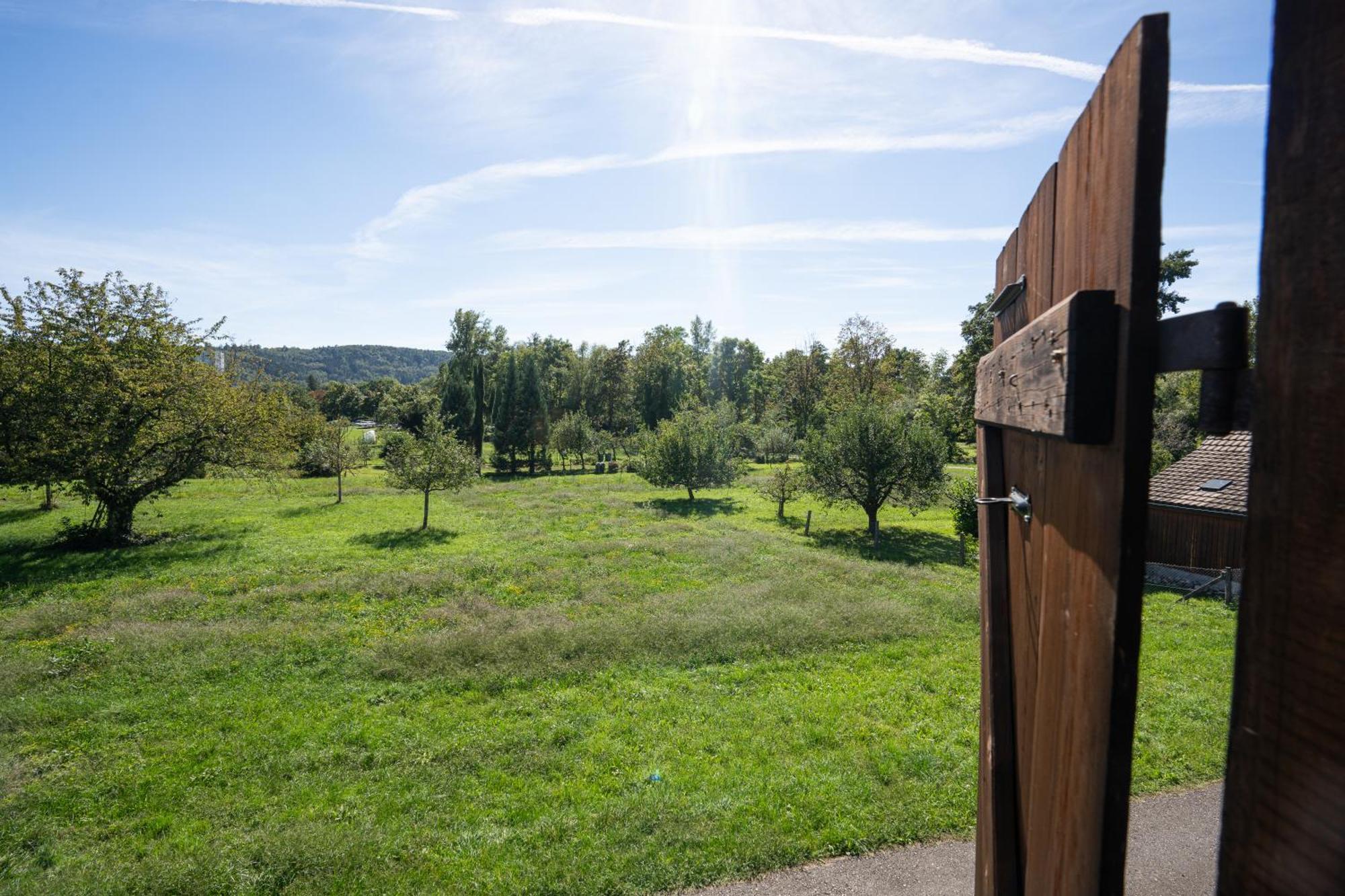 Tiny House Chez Claudine - Relaxen, Workspace, Naehe Thermen, Netflix, Free Parking & Wifi Brugg  Exterior photo